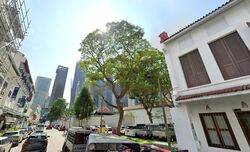 Amoy Street (D1), Shop House #456527011